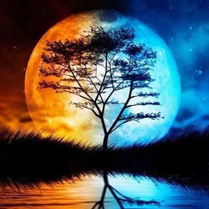 Meet your Posher, Nellymarie